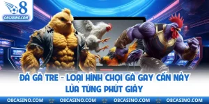 Đá Gà Tre - Loại Hình Chọi Gà Gay Cấn Nảy Lửa Từng Phút Giây